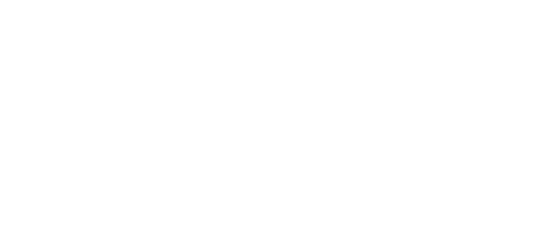 Nora's Palace